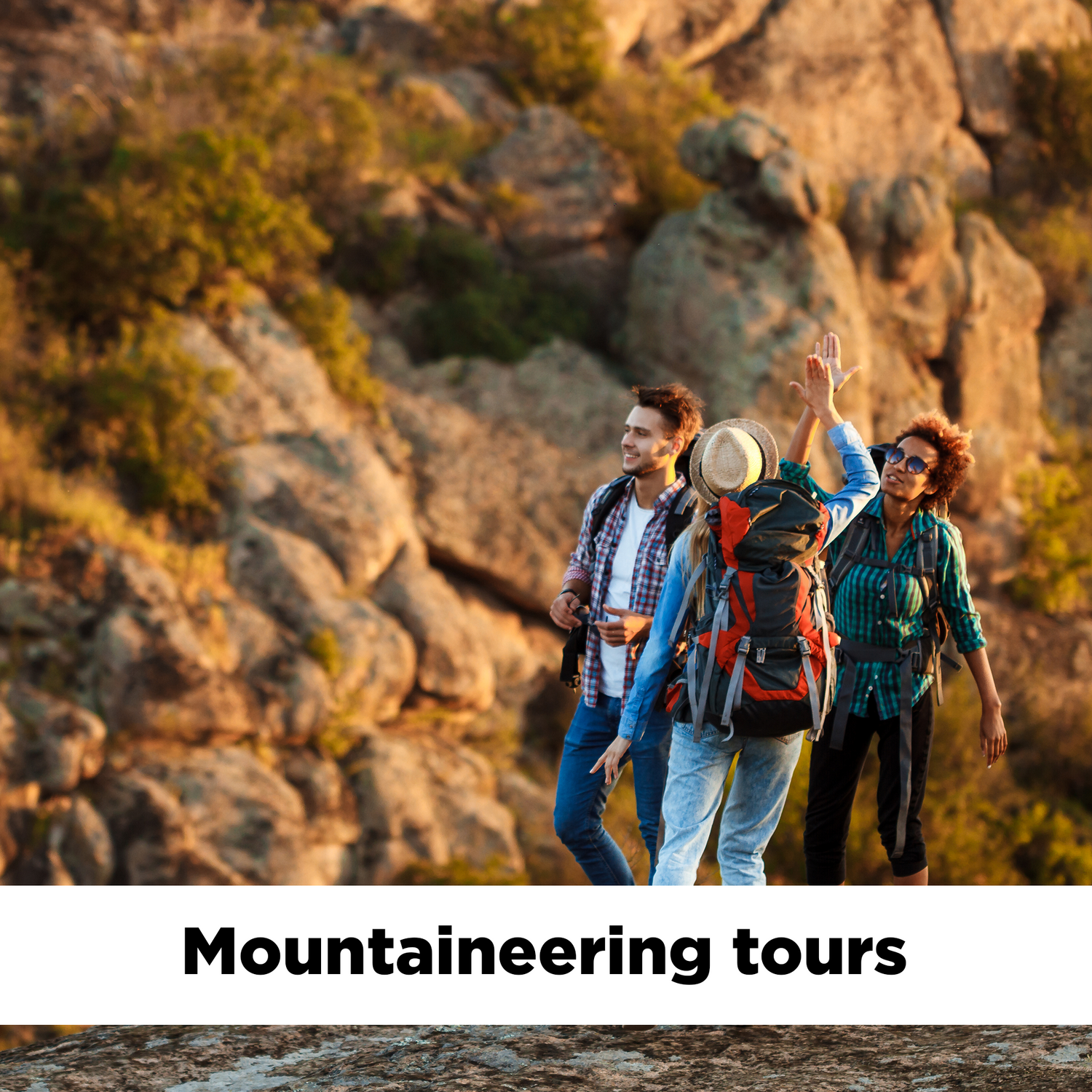 Sightseeing Tour Packages